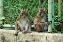 Abe Bohol_PHI4149